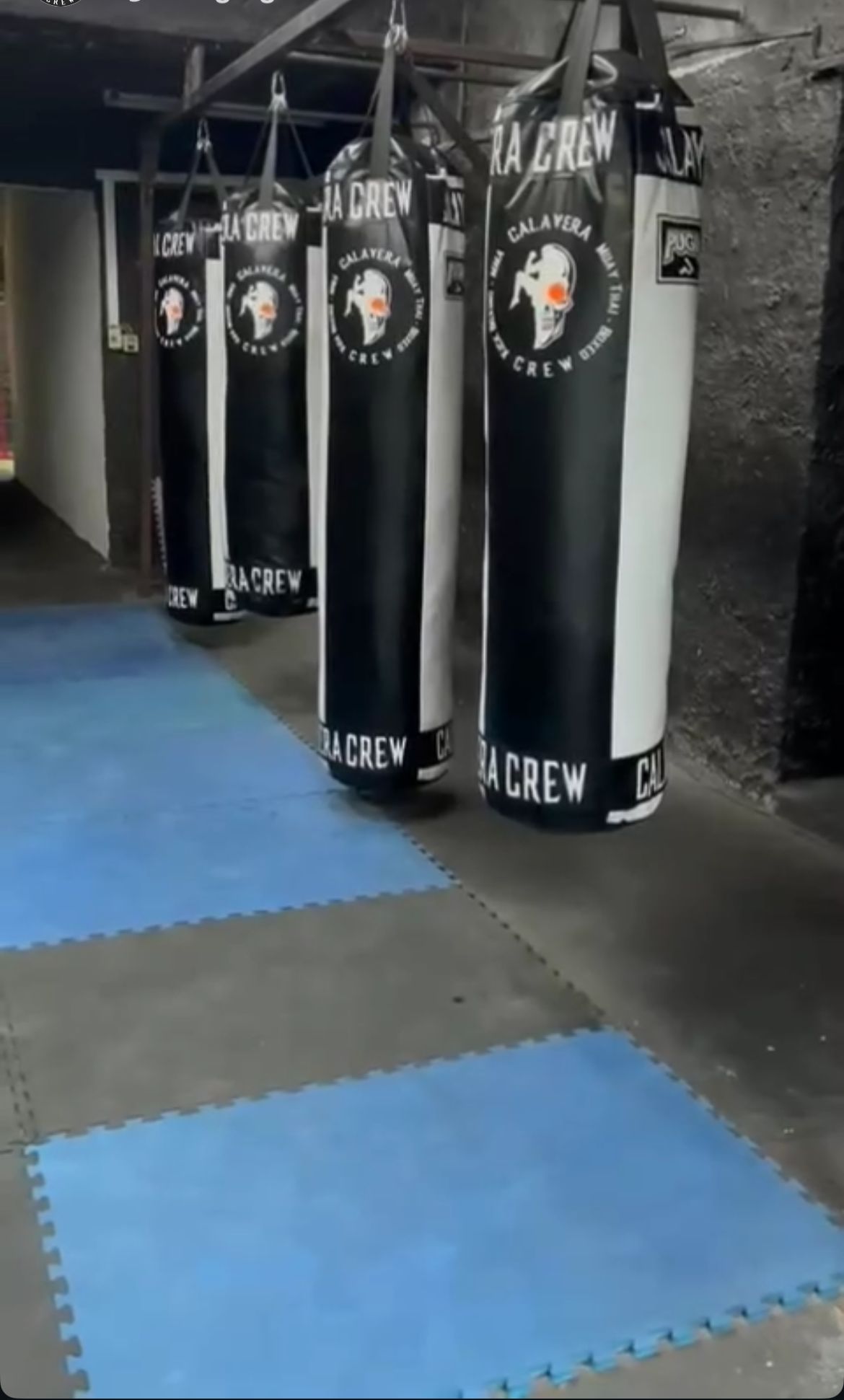 Bolsas de boxeo con la marca Calavera Crew en la sede del gimnasio.